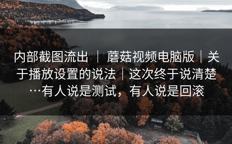 内部截图流出 ｜ 蘑菇视频电脑版｜关于播放设置的说法｜这次终于说清楚…有人说是测试，有人说是回滚